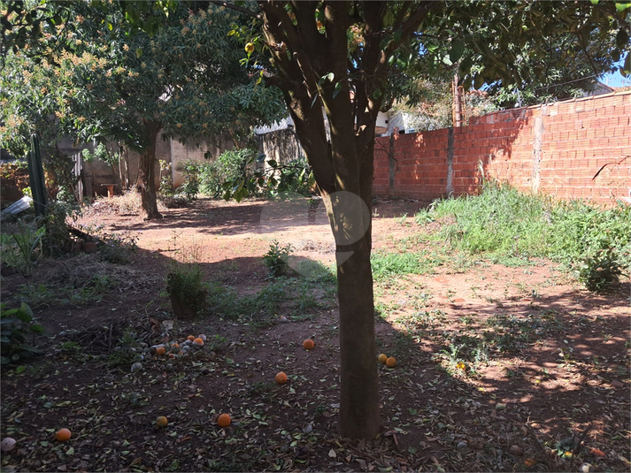 Foto REO1112626