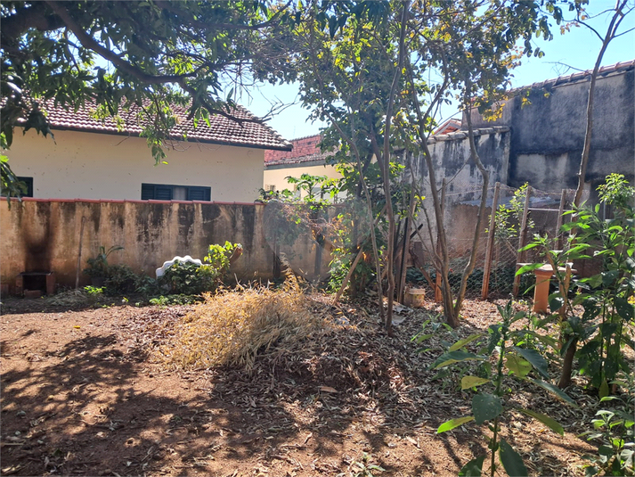 Foto REO1112626