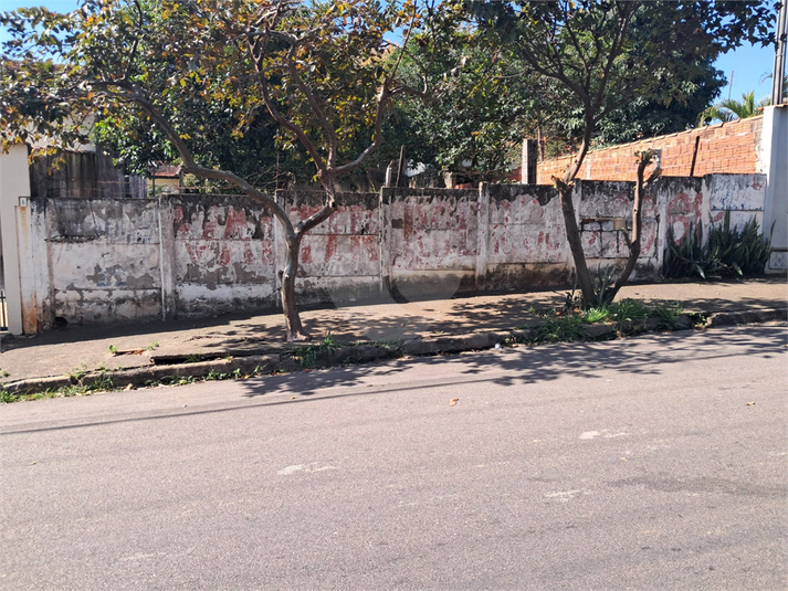 Foto REO1112626