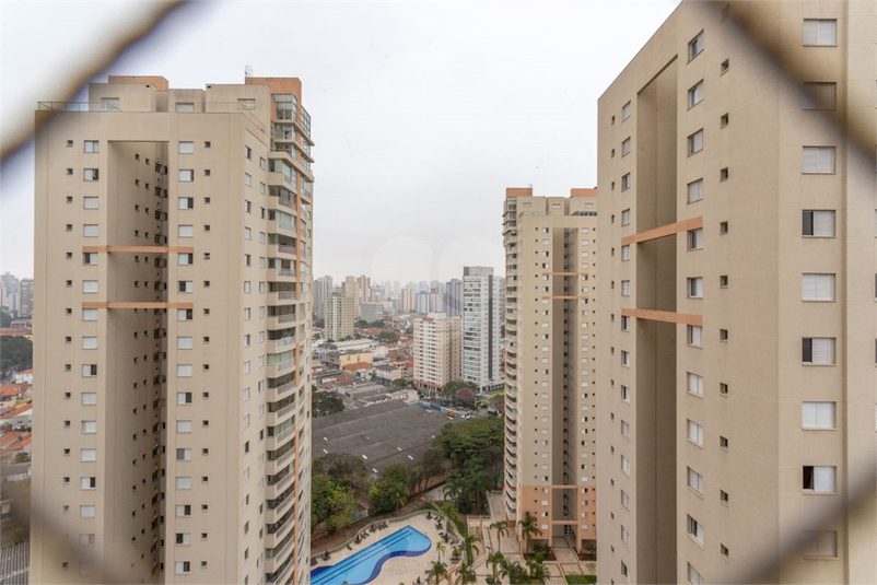 Foto REO1112629