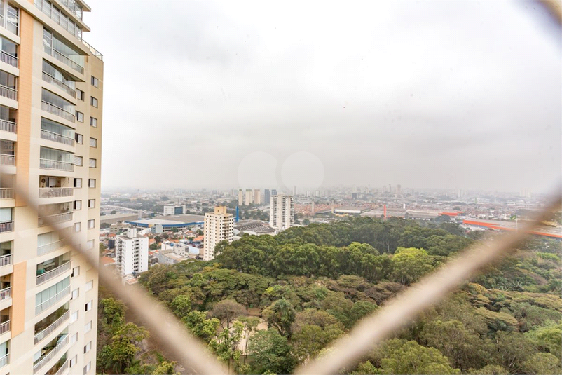 Foto REO1112629
