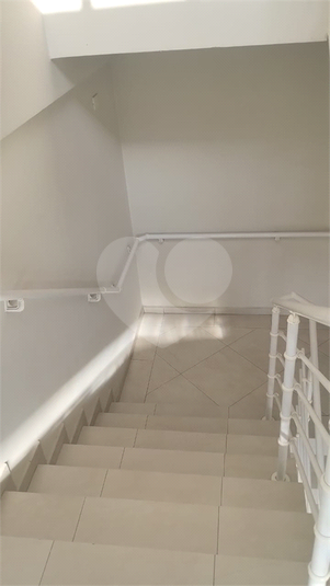 Foto REO1112635