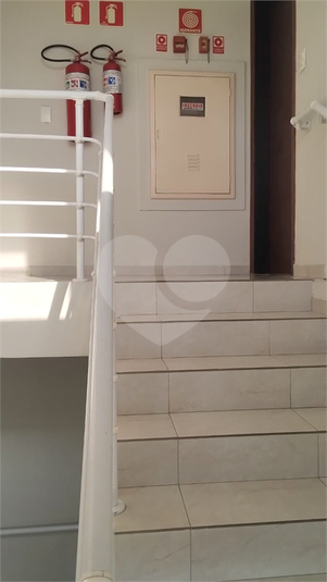 Foto REO1112635