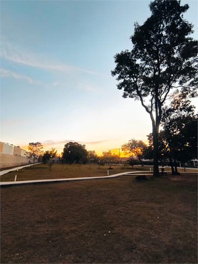 Foto REO1112638