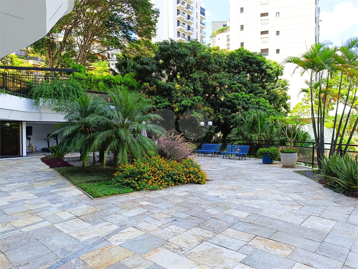 Foto REO1112639