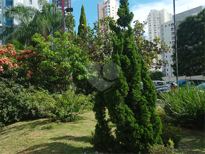 Foto REO1112641