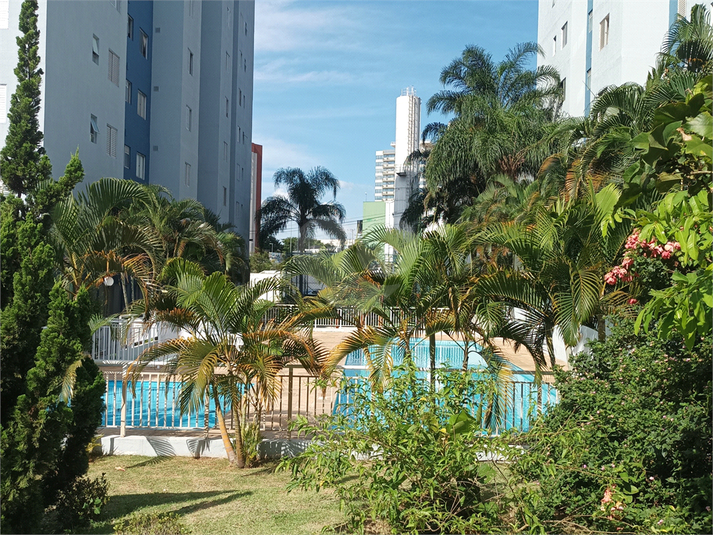 Foto REO1112641