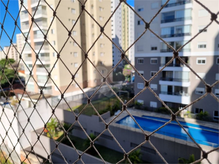 Foto REO1112646