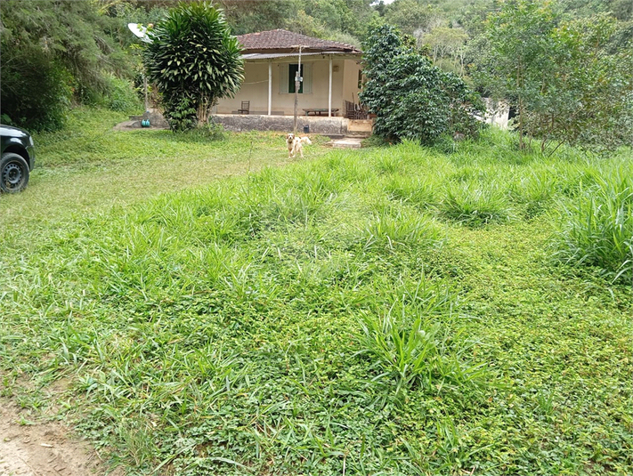 Foto REO1112655
