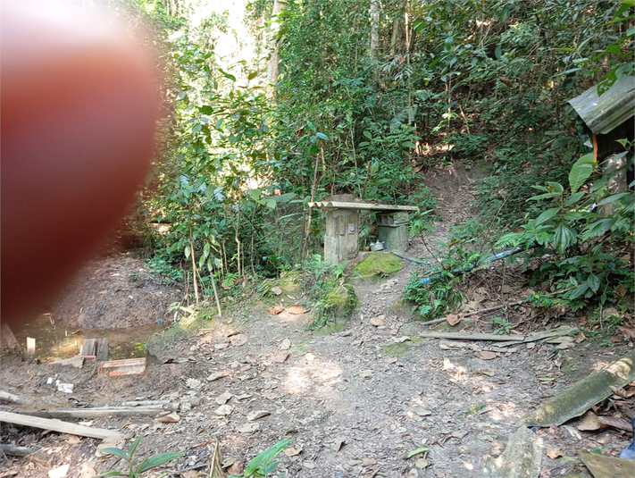 Foto REO1112655