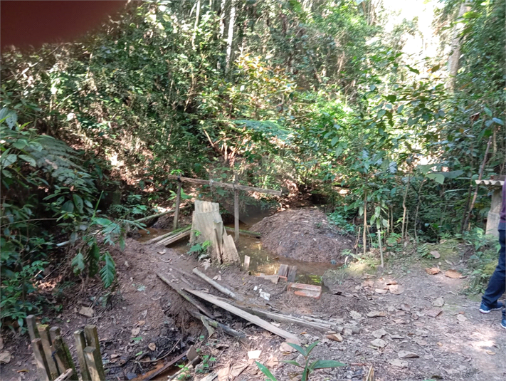 Foto REO1112655