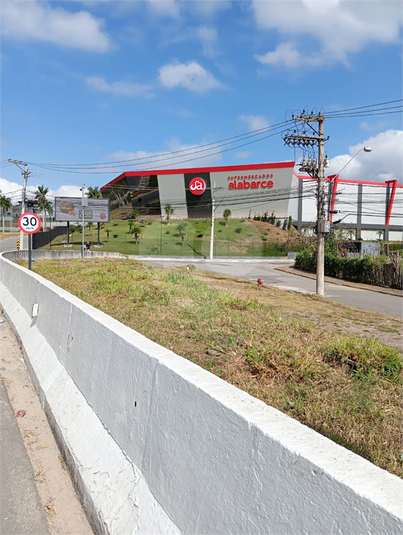 Foto REO1112655