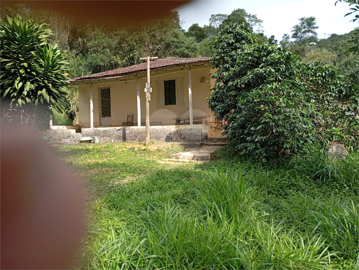 Foto REO1112655