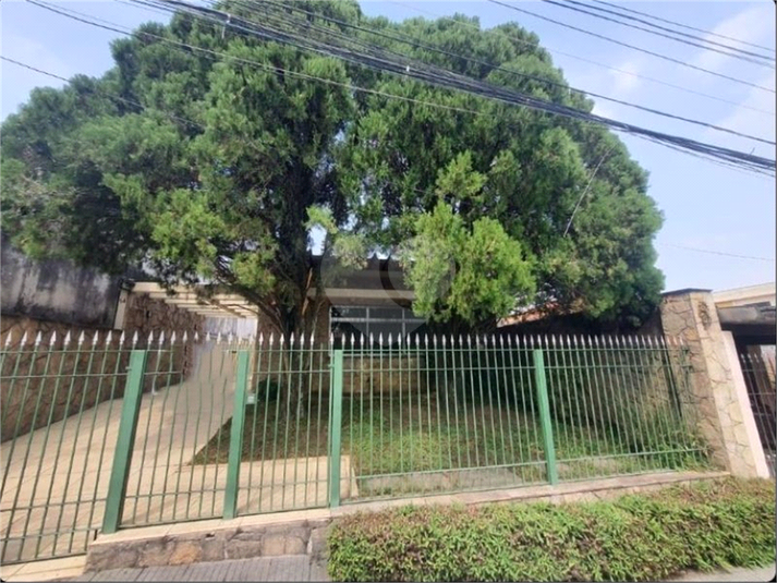 Foto REO1112659
