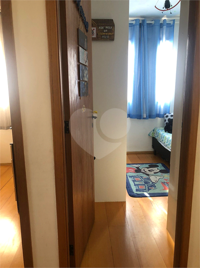 Foto REO1112666