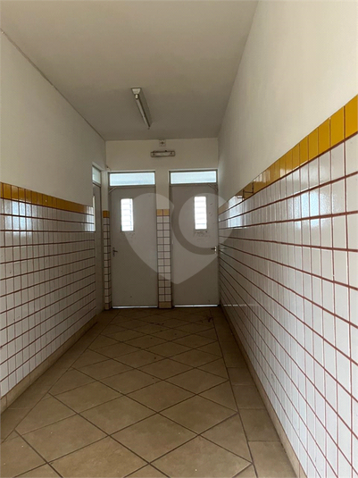 Foto REO1112693