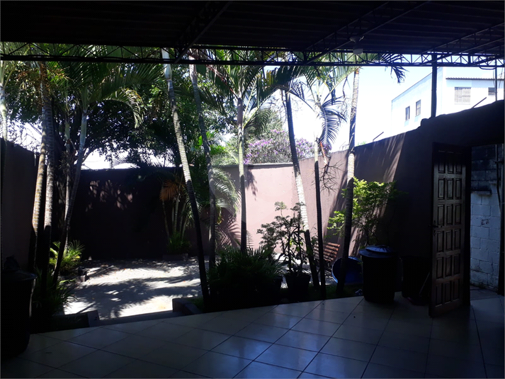 Foto REO1112700
