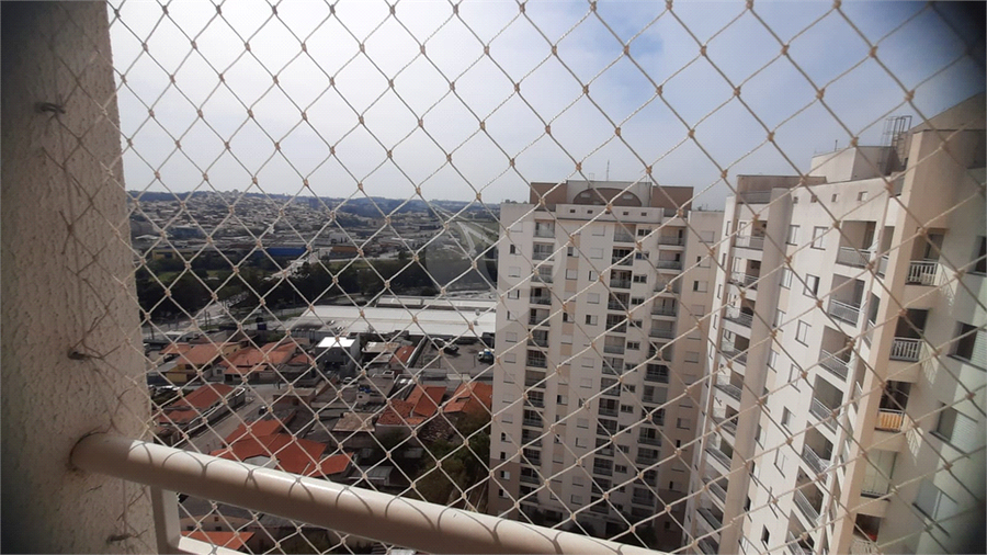 Foto REO1112723