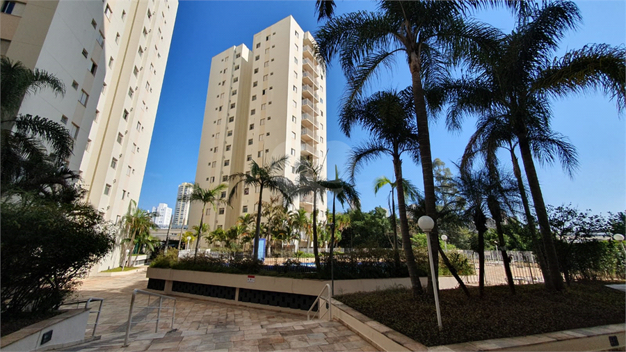 Foto REO1112728