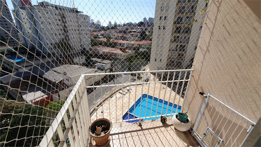 Foto REO1112728