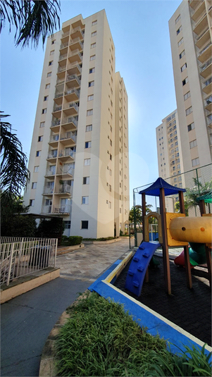 Foto REO1112728