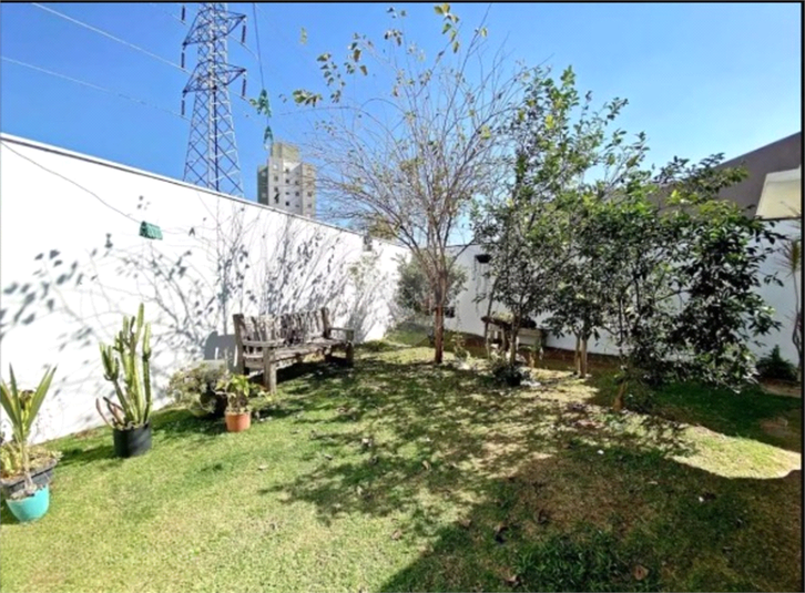 Foto REO1112732