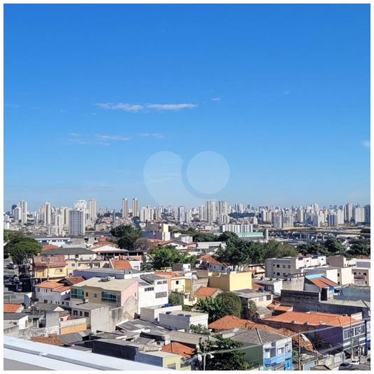Foto REO1112735