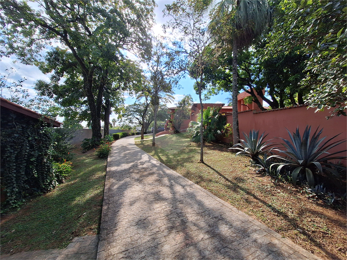 Foto REO1112737