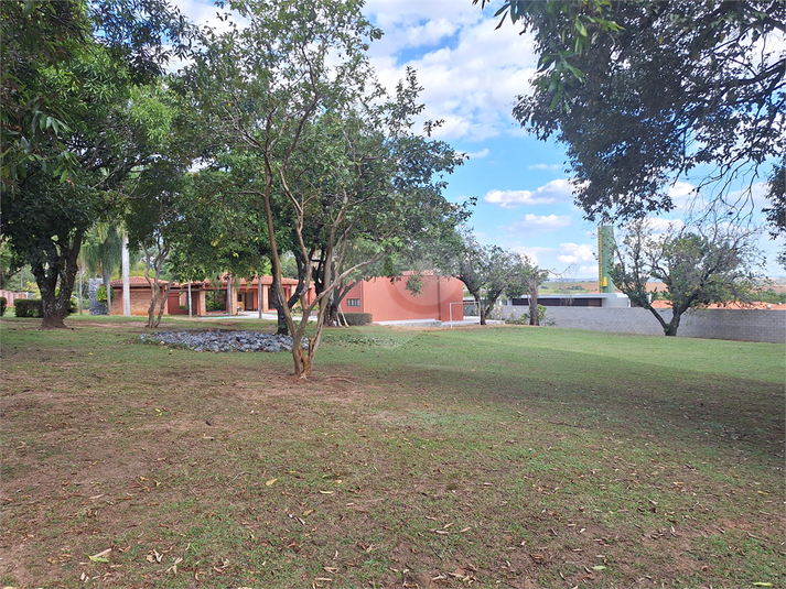Foto REO1112737