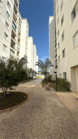Foto REO1112749