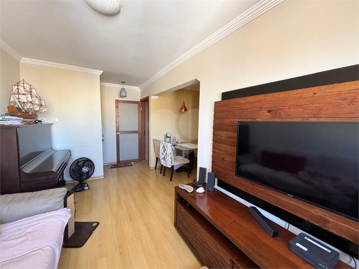 Foto REO1112757