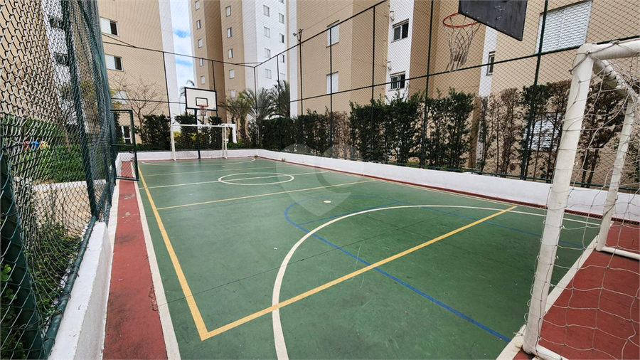 Foto REO1112767