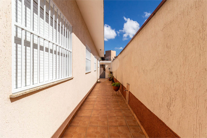 Foto REO1112779