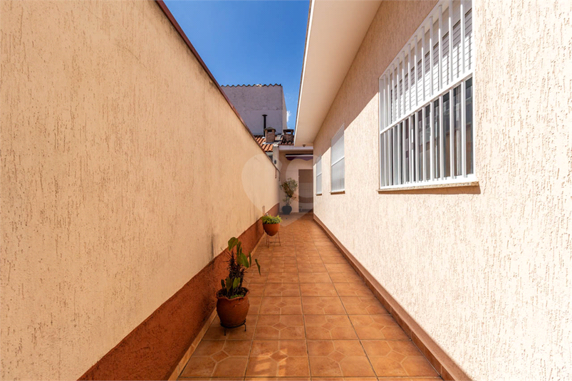 Foto REO1112779