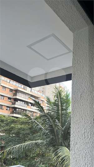 Foto REO1112781