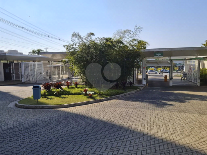Foto REO1112787