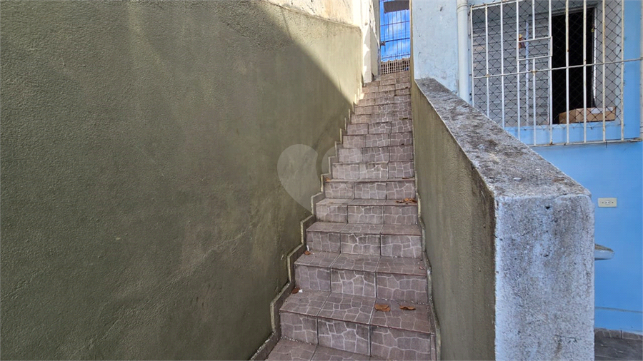 Foto REO1112788