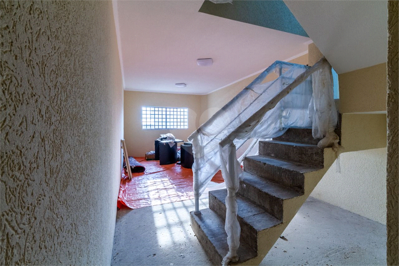 Foto REO1112796
