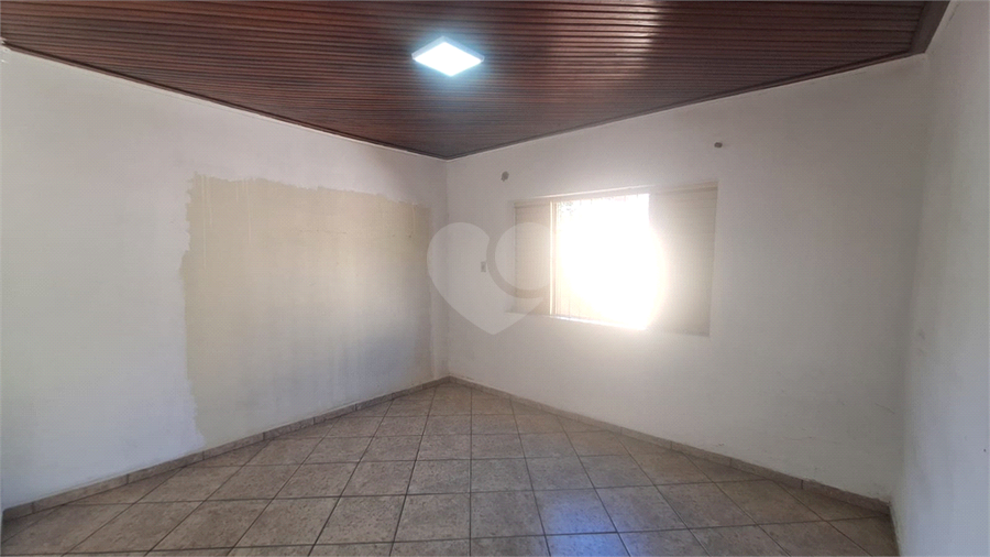 Foto REO1112810