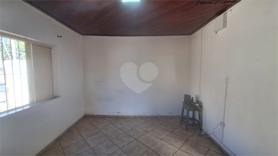 Foto REO1112810