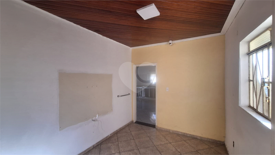 Foto REO1112810