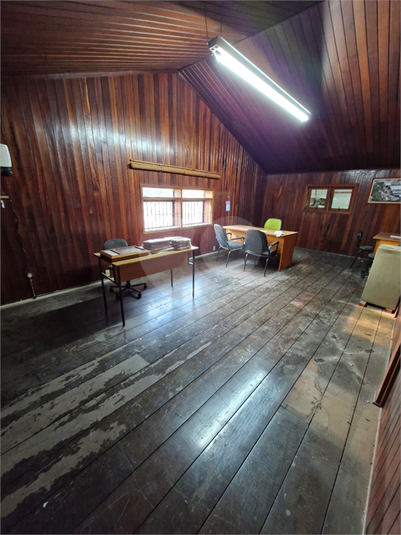 Foto REO1112819