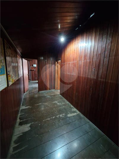 Foto REO1112819