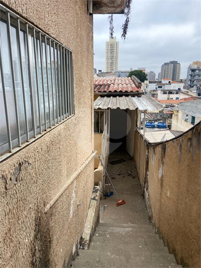 Foto REO111282