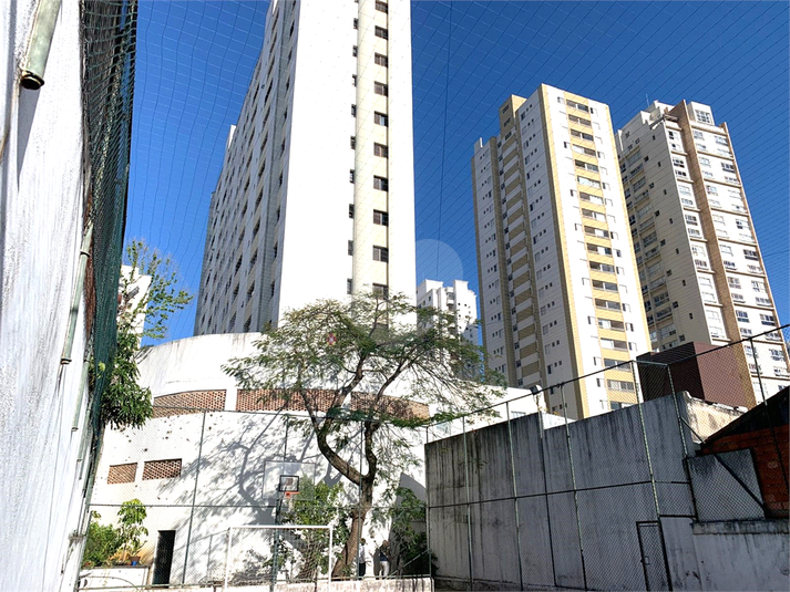 Foto REO1112845