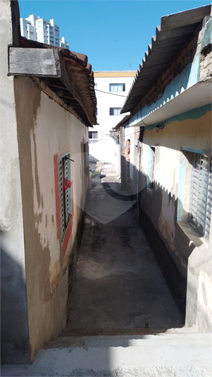 Foto REO1112857