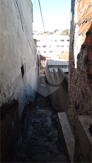Foto REO1112857