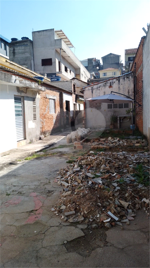 Foto REO1112857