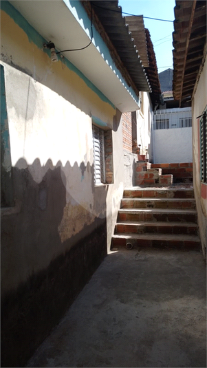 Foto REO1112857