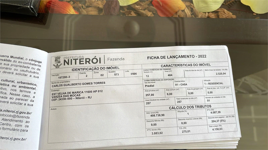 Foto REO1112865